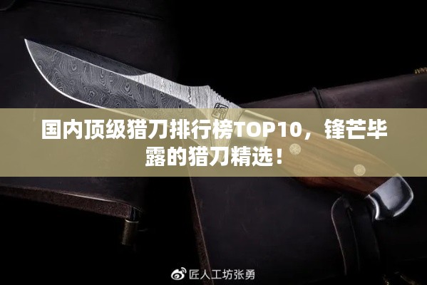 国内顶级猎刀排行榜TOP10,锋芒毕露的猎刀精选!