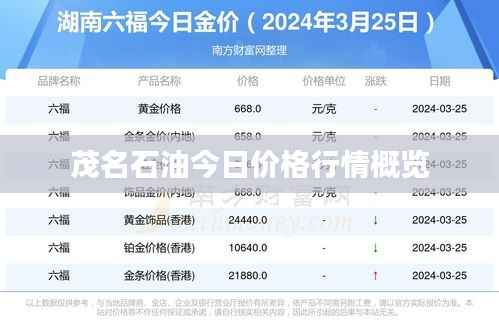 茂名石油今日价格行情概览