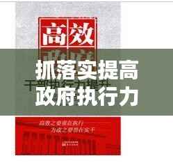 抓落实提高政府执行力，提升政策执行力 