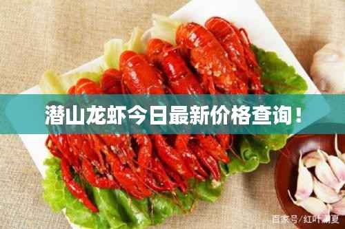 潜山龙虾今日最新价格查询!
