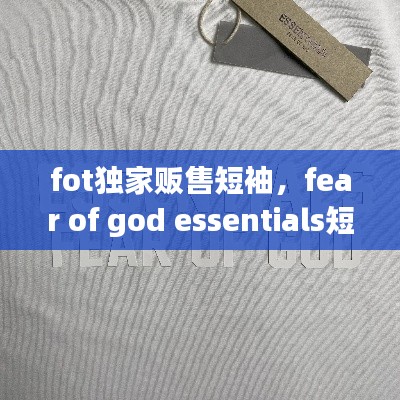 质而不俚 第2页