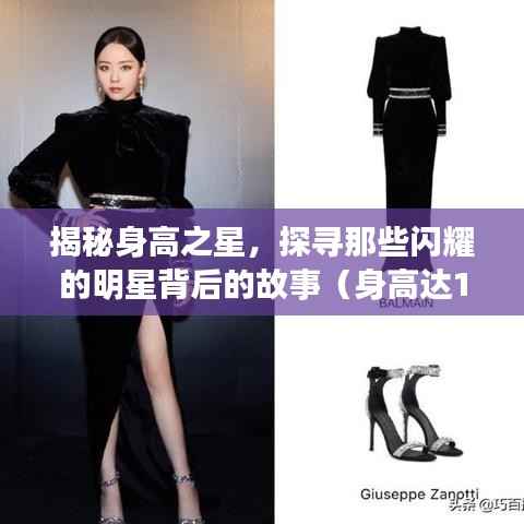 朴素无华 第2页