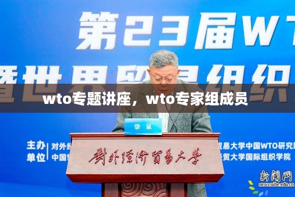 wto专题讲座，wto专家组成员 