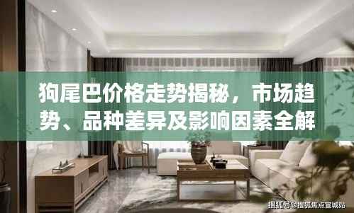 狗尾巴价格走势揭秘,市场趋势、品种差异及影响因素全解析