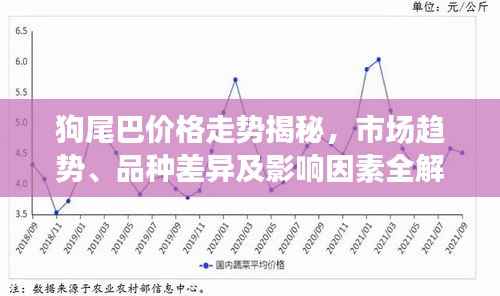 狗尾巴价格走势揭秘,市场趋势、品种差异及影响因素全解析