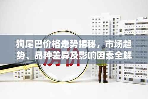 狗尾巴价格走势揭秘,市场趋势、品种差异及影响因素全解析