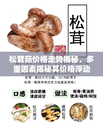松茸菇价格走势揭秘,多重因素揭秘其价格浮动!