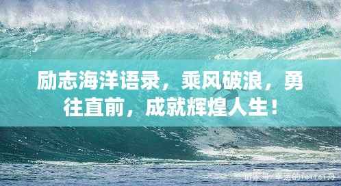 择善而从 第2页
