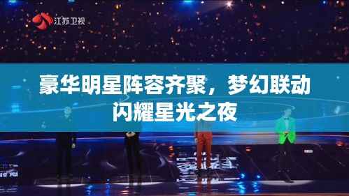 豪华明星阵容齐聚,梦幻联动闪耀星光之夜