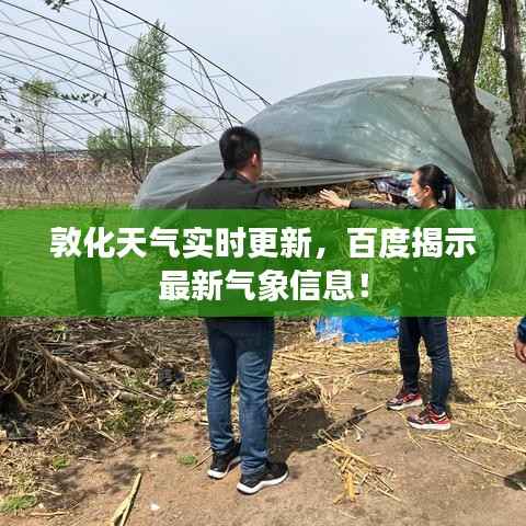 空谷幽兰 第2页