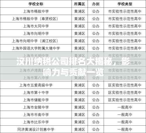 汉川纳税公司排名大揭秘,影响力与贡献一览