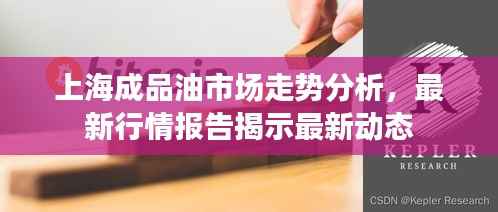 上海成品油市场走势分析,最新行情报告揭示最新动态
