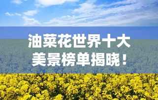 油菜花世界十大美景榜单揭晓!