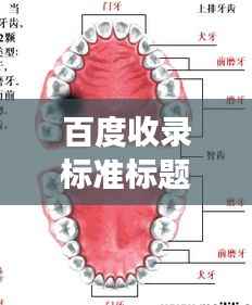 百度收录标准标题,智牙图片大放送,探索牙齿健康之美