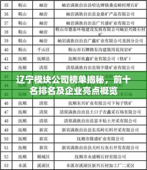 辽宁模块公司榜单揭秘,前十名排名及企业亮点概览